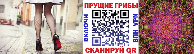 Псилоцибиновые грибы GOLDEN TEACHER  Усть-Лабинск 